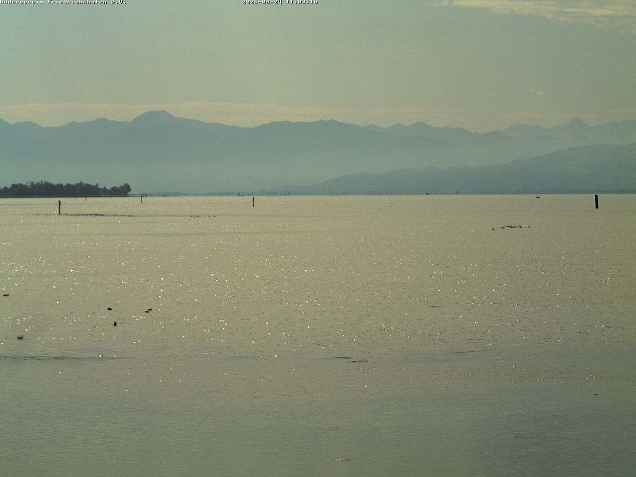 Camera Live Image