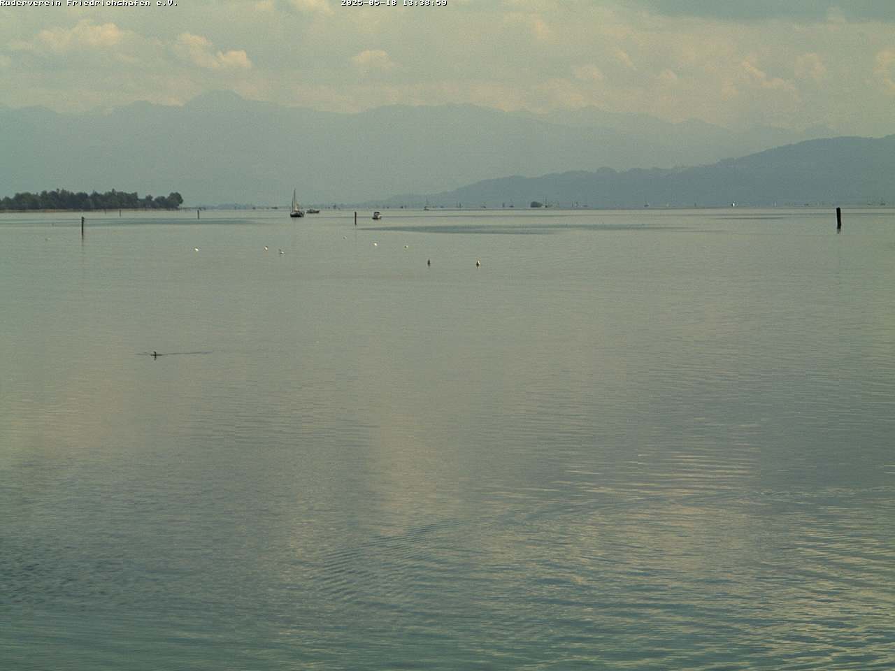 Camera Live Image