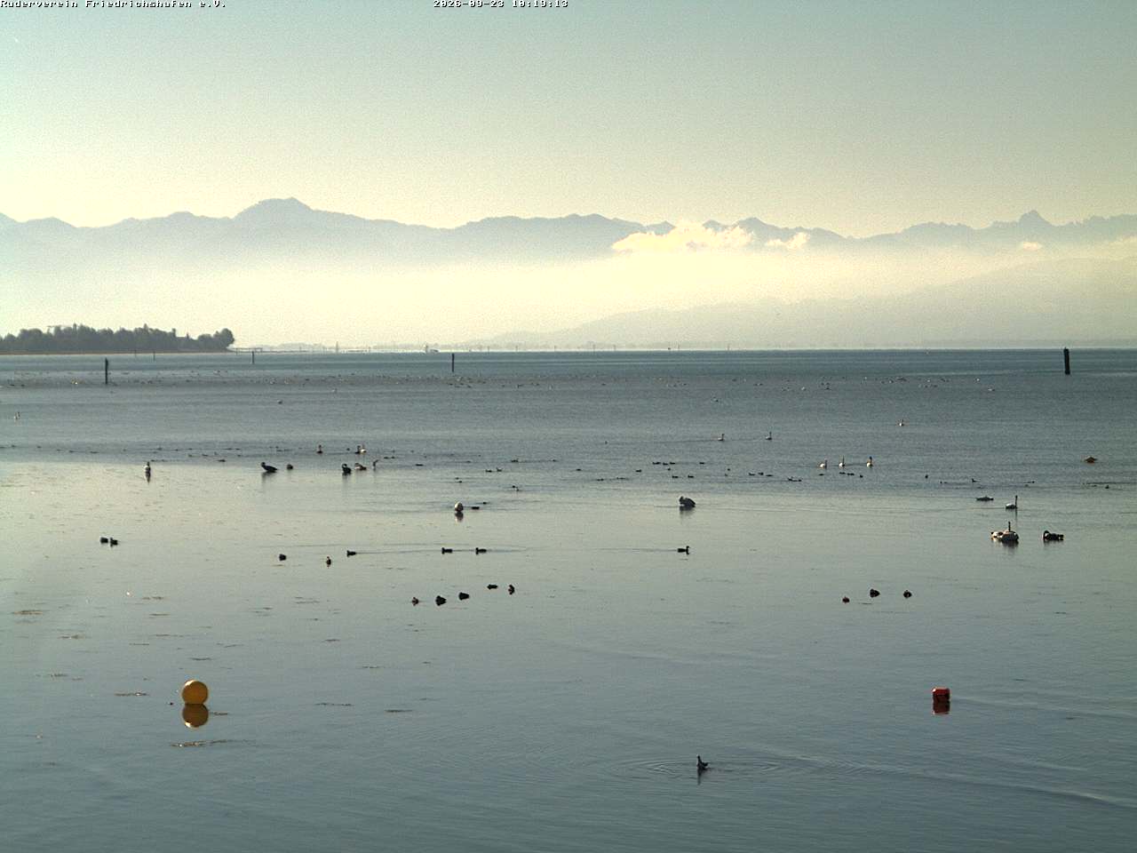 Camera Live Image