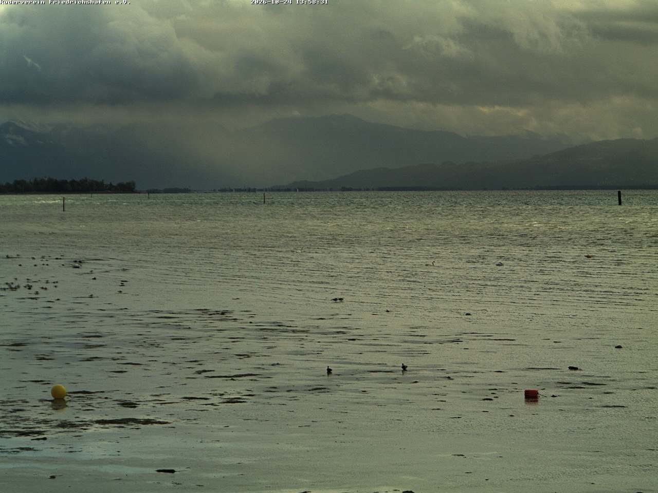 Camera Live Image
