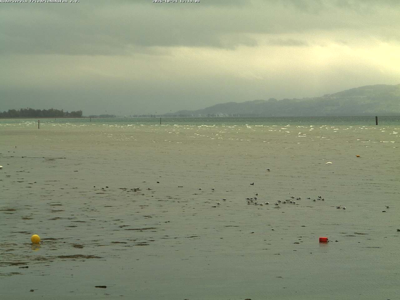 Camera Live Image